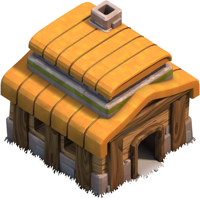 Town Hall 3